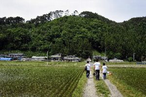 大槌町・釜石市での世界の医療団の主な活動歴